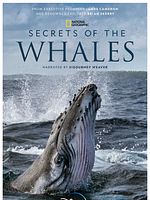Bild von Die geheimnisvolle Welt der Wale