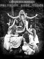 Poster der Polygamy Gone Wrong