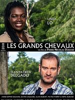 Poster der Les Grands chevaux