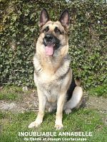 Poster der Inoubliable Annabelle