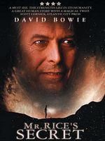 Poster der Das Geheimnis des Mr. Rice