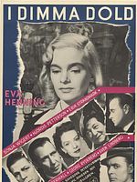 Poster der I dimma dold