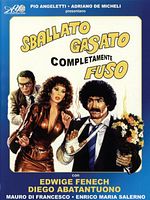 Poster der An Ideal Adventure