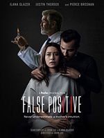 Poster der False Positive