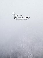 Poster der Winterreise