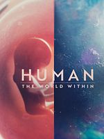 Bild von Der Mensch: Innere Welten