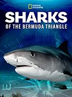 Poster der Sharks of the Bermuda Triangle