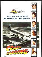 Poster der Crash Landing
