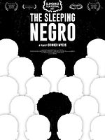 Poster der The Sleeping Negro