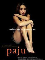 Poster der Paju