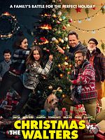 Poster der Christmas vs. The Walters