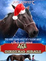 Poster der Ace & The Christmas Miracle