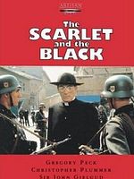 Poster der Im Wendekreis des Kreuzes