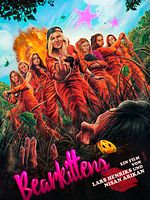 Poster der Bearkittens