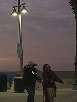 Poster der Venice Beach, CA.