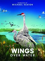 Poster der Wings Over Water