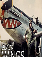 Poster der Black Wings