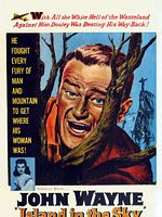 Poster der Das letzte Signal