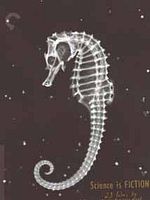 Poster der Les Pigeons du square