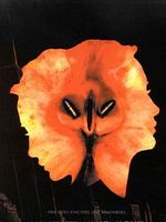 Poster der Manhattan Midnight