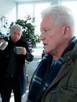 Poster der Tatort: Kehraus