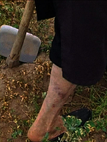 Poster der Striking Land