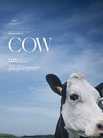 Poster der Cow