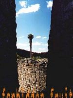 Poster der Forbidden Fruit