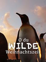 Poster der O du wilde Weihnachtszeit