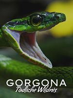 Poster der Gorgona - Tödliche Wildnis