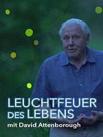 Poster der Leuchtfeuer des Lebens