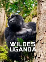 Poster der Wildes Uganda