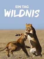 Poster der Ein Tag Wildnis