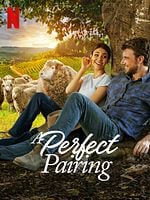 Poster der A Perfect Pairing