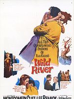 Poster der Wilder Strom