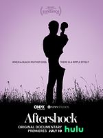 Poster der Aftershock