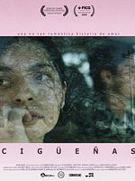 Poster der Cigüeñas