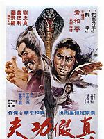 Poster der Kung Fu Man