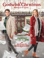 Poster der Zufälle gibt's - Das große Weihnachtsglück