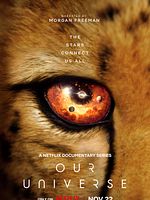 Poster der Das Universum