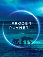 Bild von Frozen Planet II