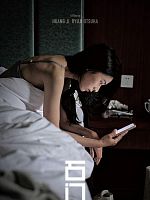 Poster der Stonewalling