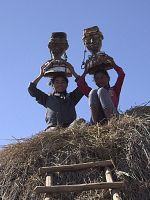 Poster der Sitabaomba