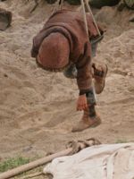 Poster der Der Wind nimmt die mit