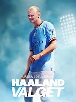Poster der Haaland - The Big Decision