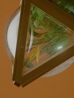 Poster der Schauhaus