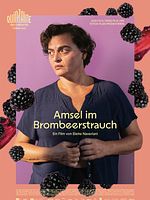 Poster der Amsel im Brombeerstrauch