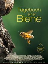 Filmposter von Tagebuch einer Biene