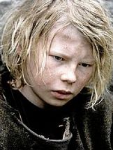 foto von Maarten Stevenson