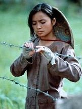 foto von Hiep Thi Le